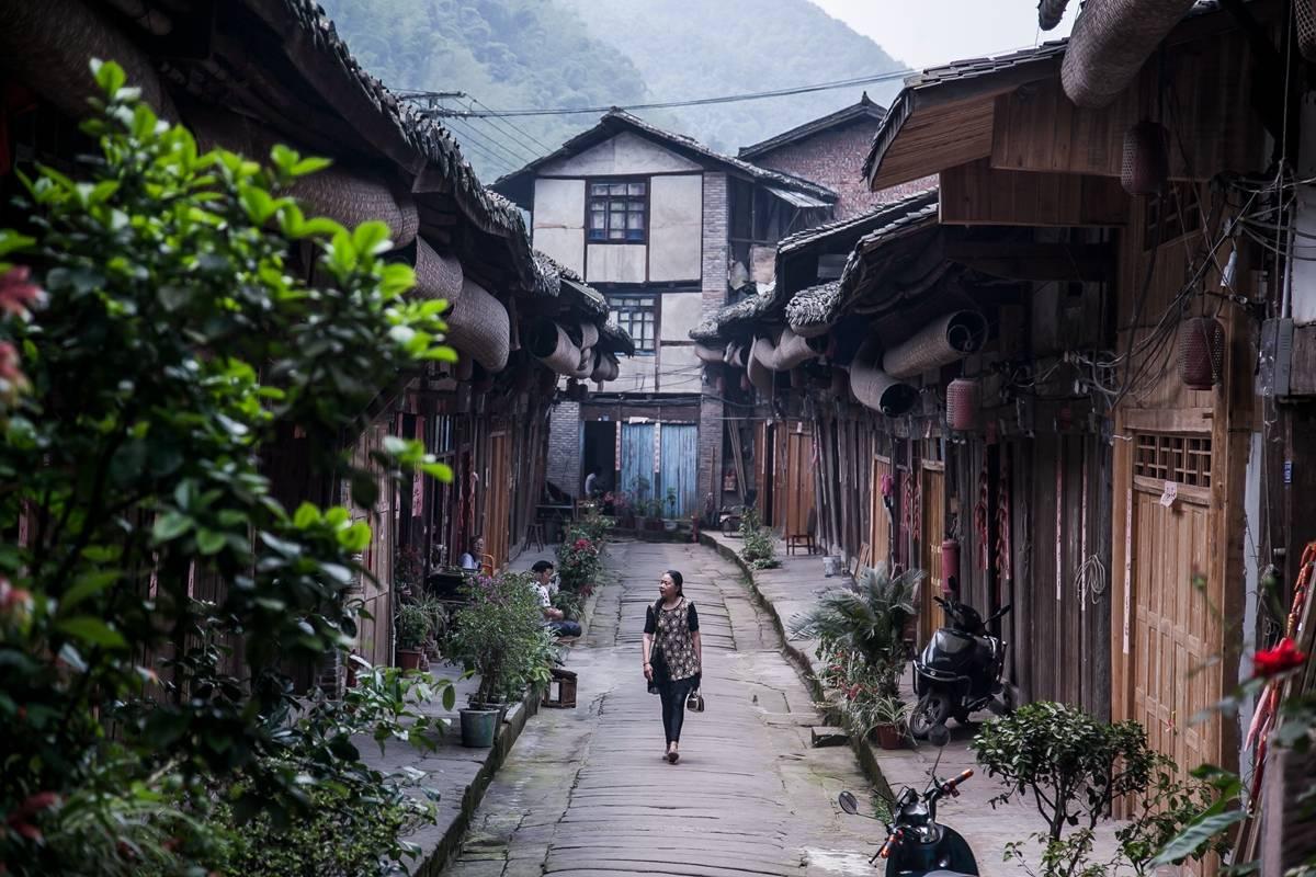 不朽星球